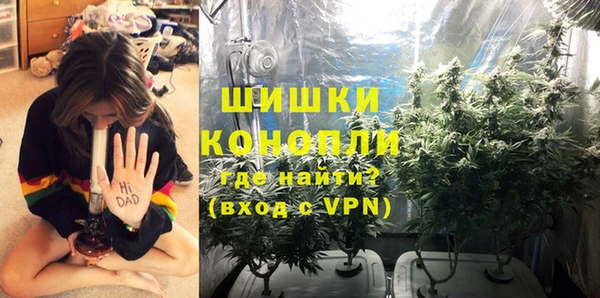 бошки Балахна