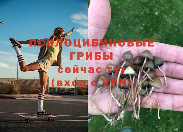 бошки Балахна