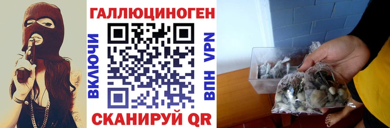 Псилоцибиновые грибы Magic Shrooms  Сердобск 